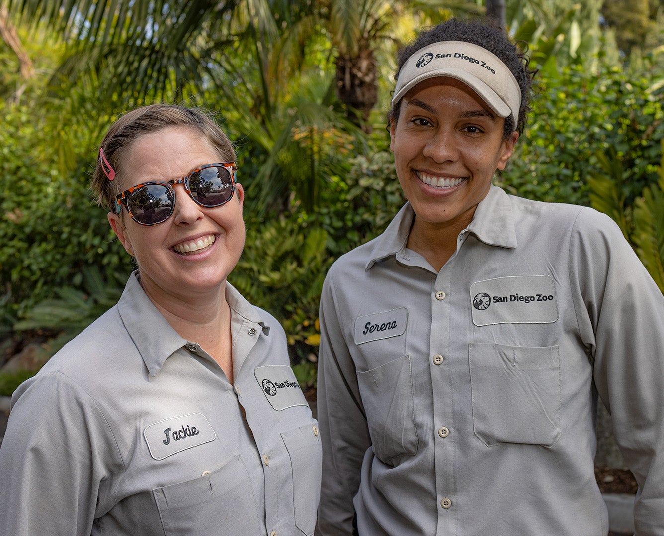 Career & Internship Programs San Diego Zoo Wildlife Alliance