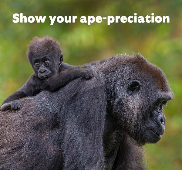 Show your ape-preciation