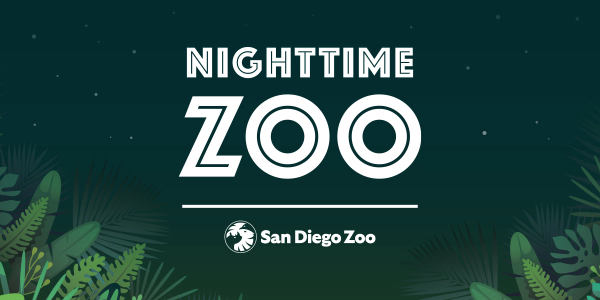 Nighttime Zoo