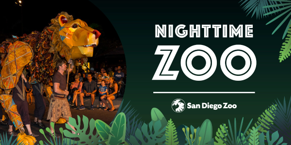 Nighttime Zoo