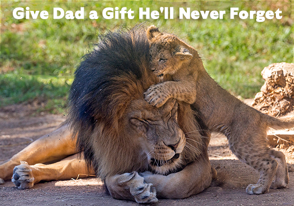 Give Dad a Gift He'll Never Forget