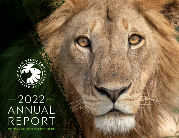 2022 Annual Report