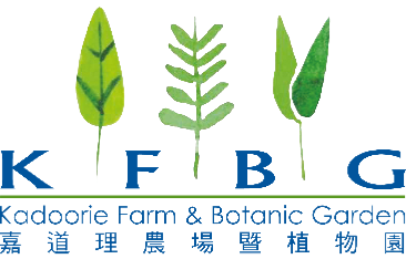KFBG logo