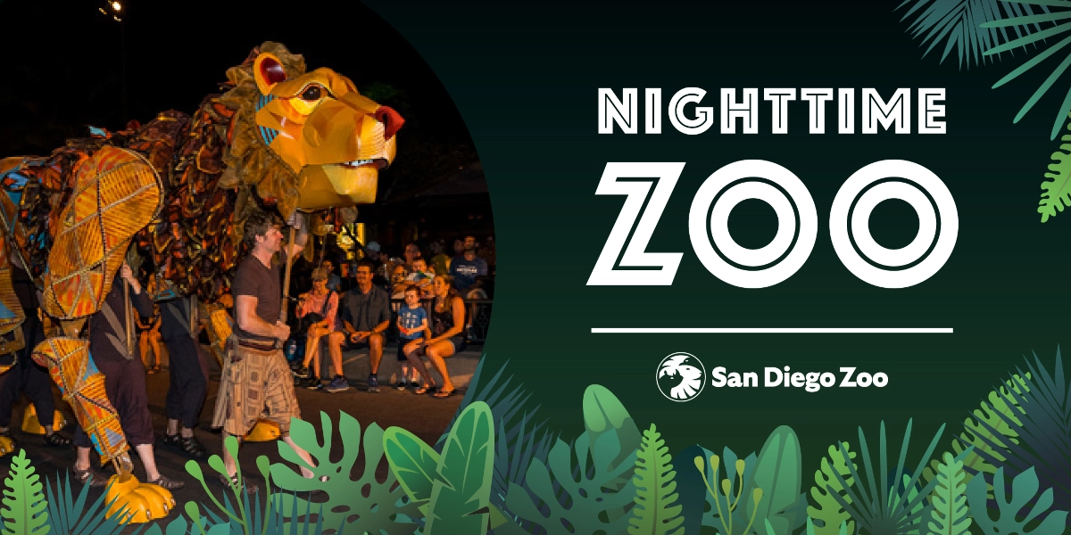 Nighttime Zoo