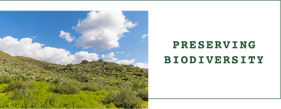 Preserving Biodiversity