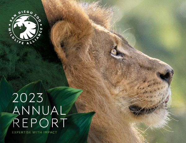 2023 Annual Report - Expertise with Impact