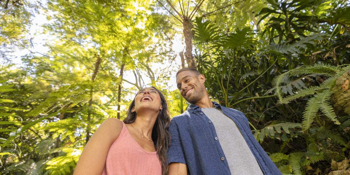 couple looking up at trees