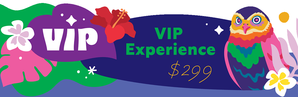 VIP Experience