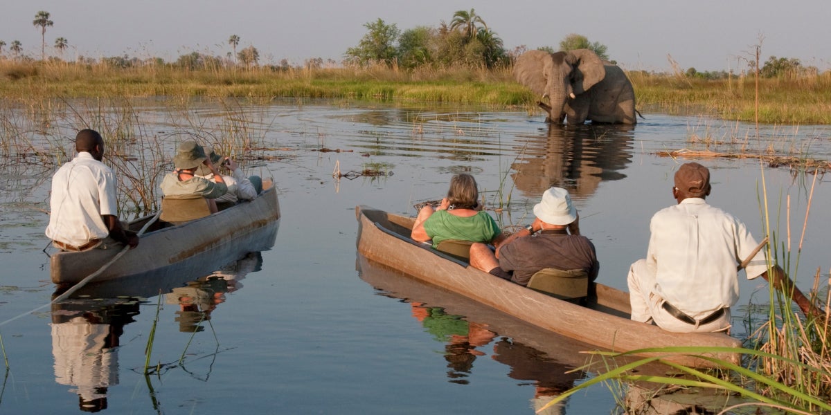 People on canoes taking picture of elephant