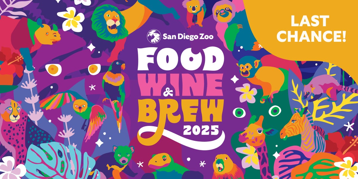 Food WIne Brew 2025