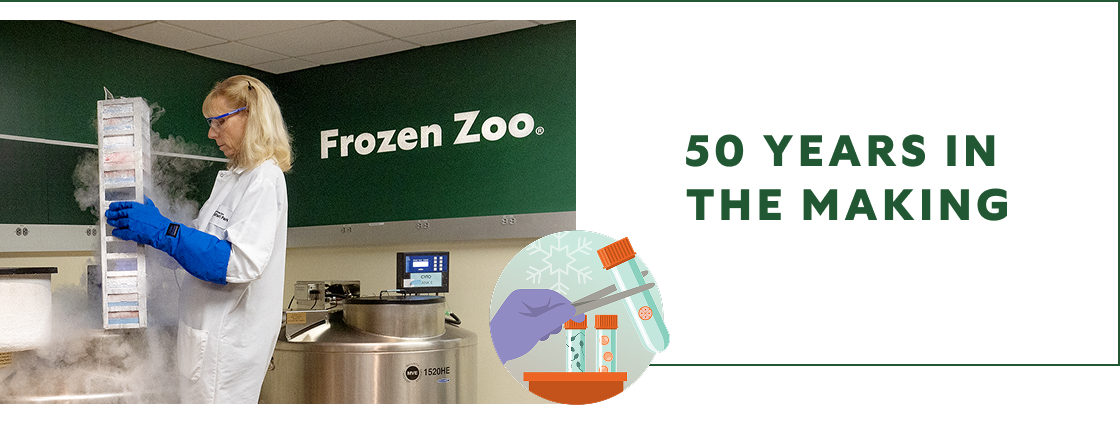 50 Years in the Making