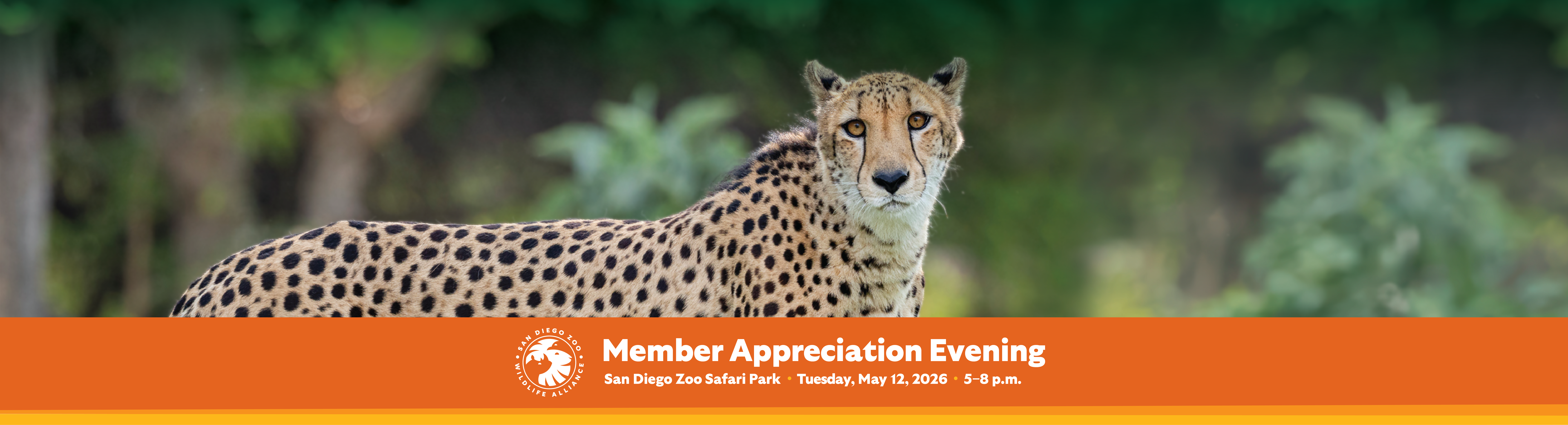 Member Appreciation Evening San Diego Zoo Safari Park Tuesday May 12, 2026 5-8pm