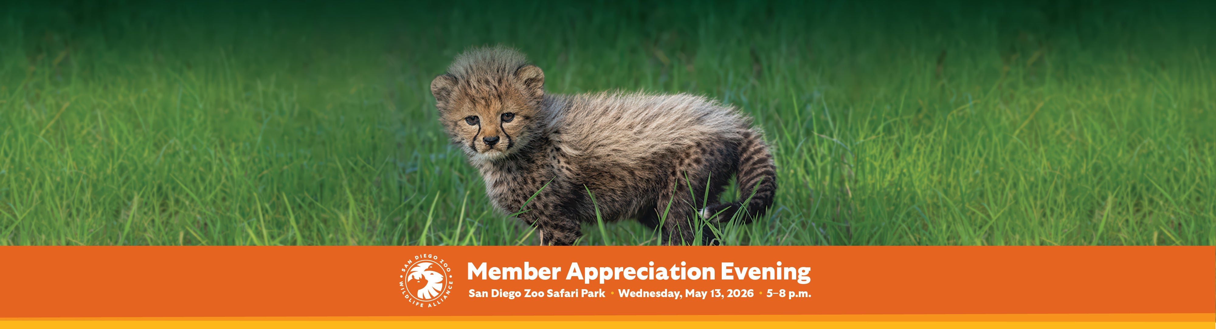 Member Appreciation Evening San Diego Zoo Safari Park Wednesday May 13, 2026 5-8pm