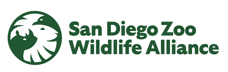 About SDZWA  San Diego Zoo Wildlife Alliance