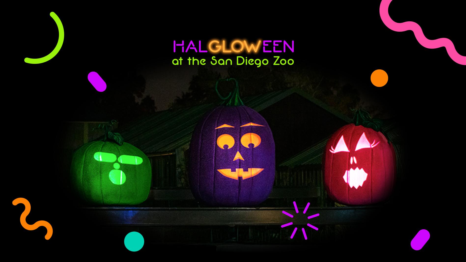 Halgloween glow pumpkin