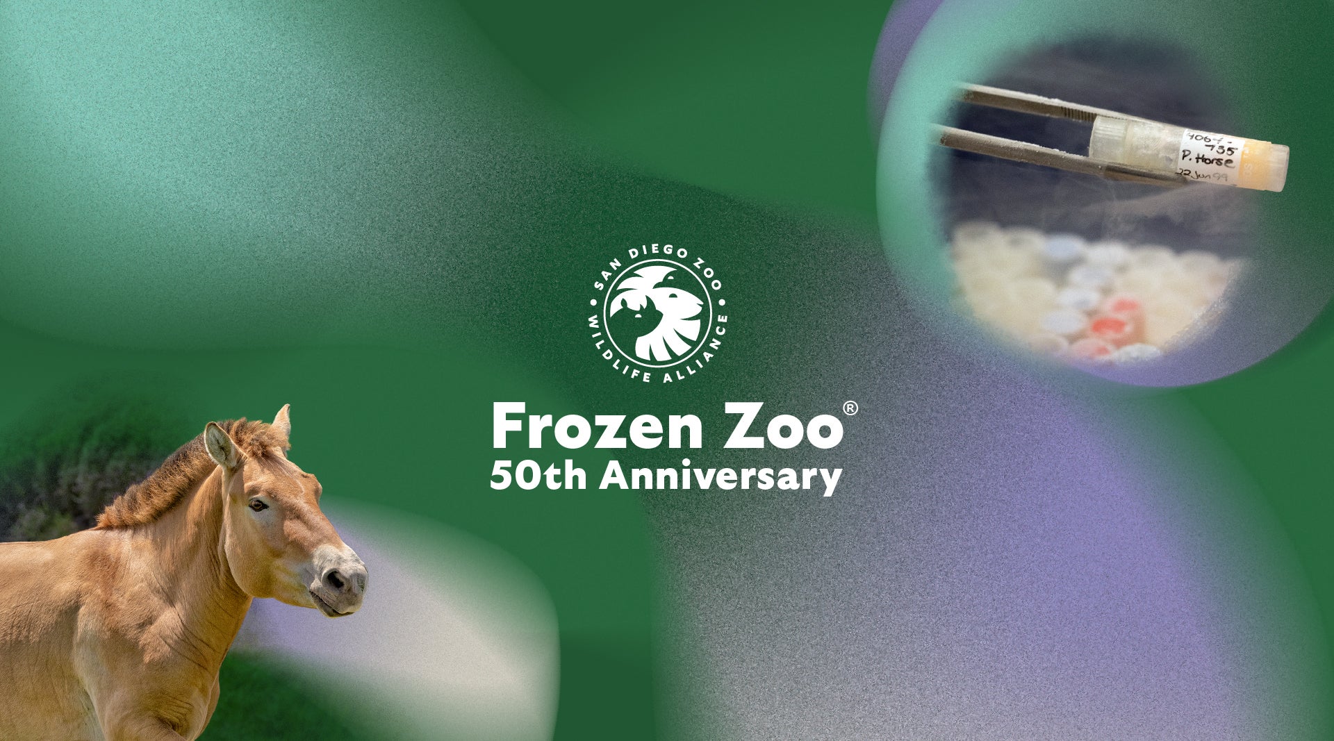 Frozen Zoo 50th Anniversary