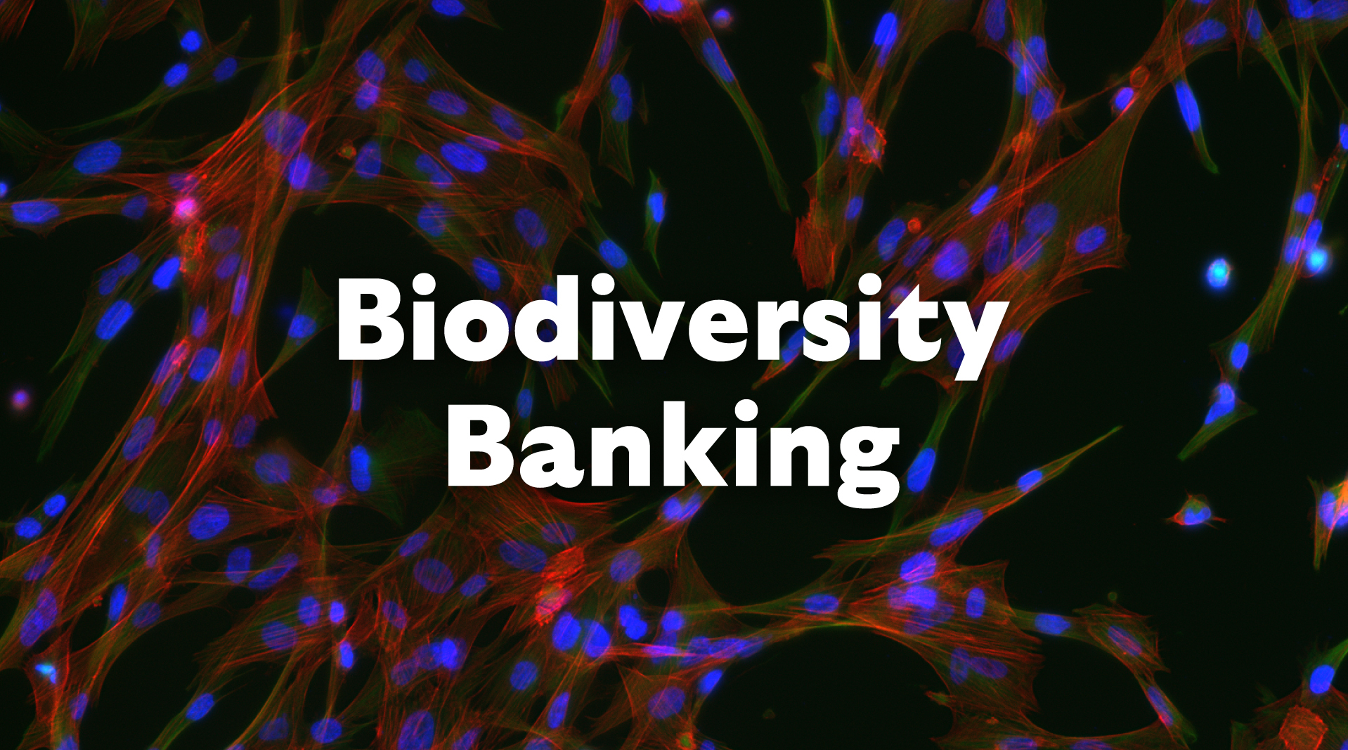 Biodiversity Banking