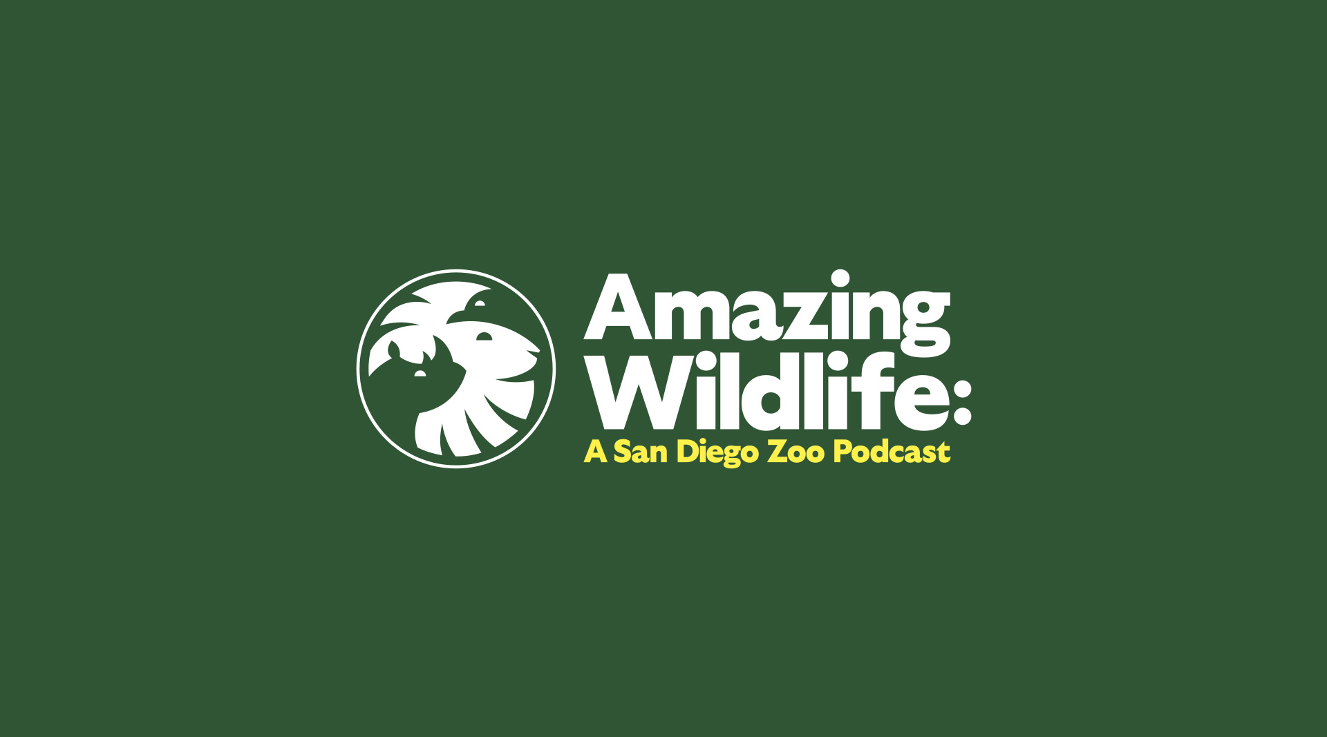 Poison Frog  San Diego Zoo Animals & Plants