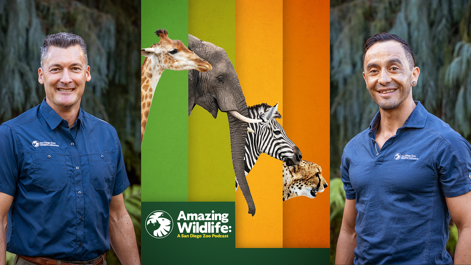 Amazing Wildlife: A San Diego Zoo Podcast - SEASON 3