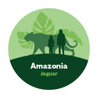 icon: Amazonia -- jaguar