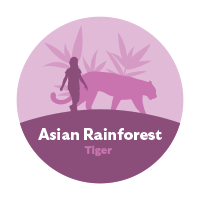 icon: Asian Rainforest -- tiger