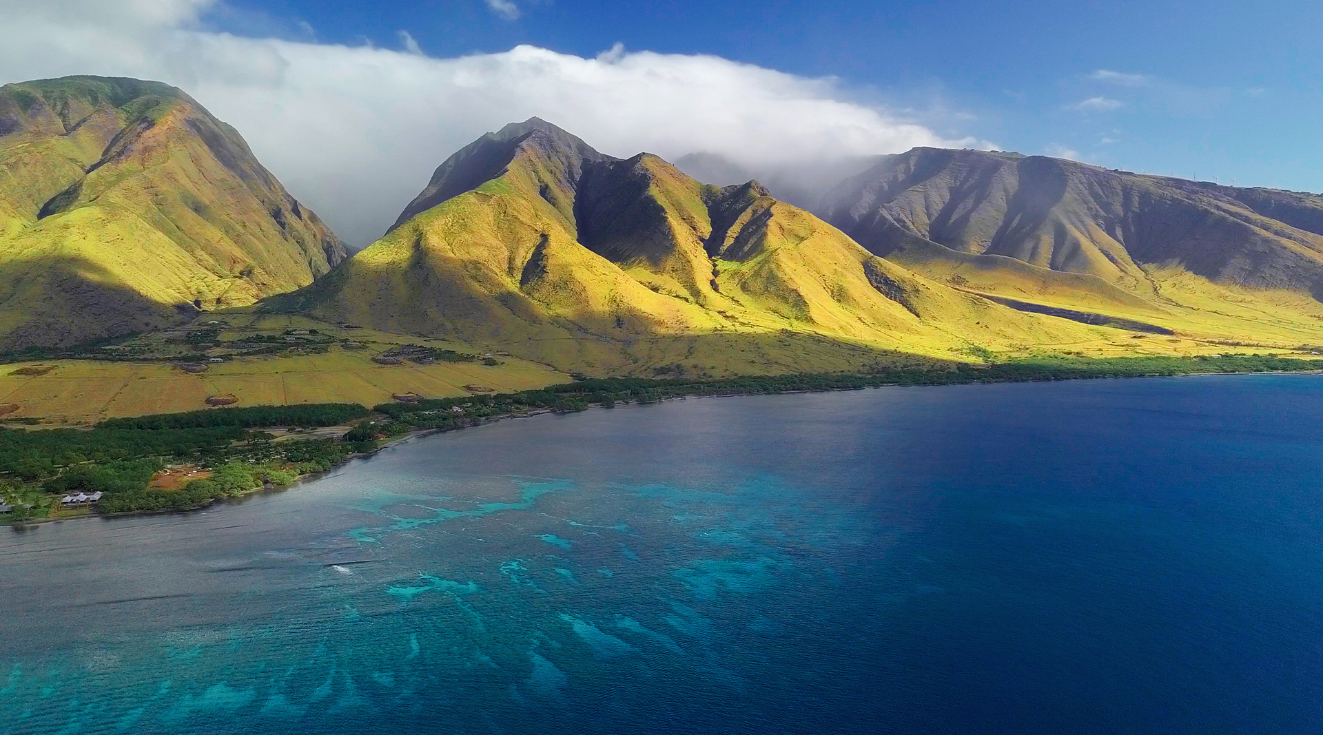 Maui Aerial View