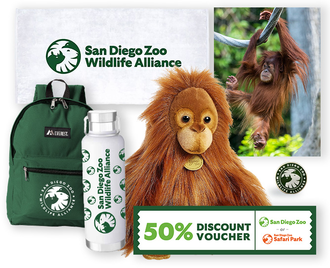 $1000 Orangutan Gift Package