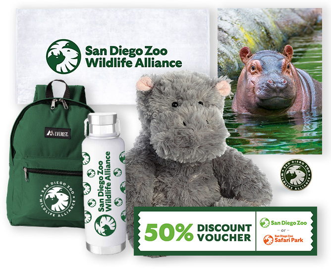 $1000 Hippo adoption package