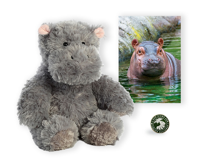 $100 hippo adoption package
