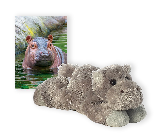 hippo card and plush