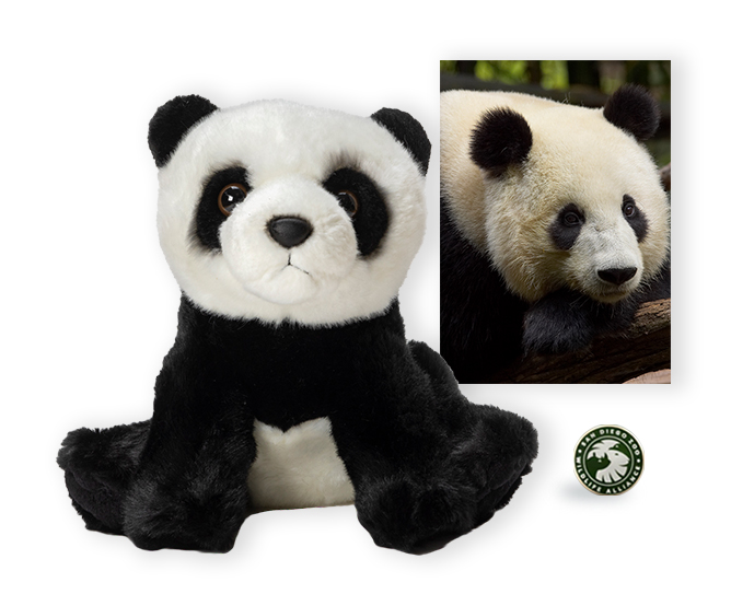 giant panda plush, card, and pin