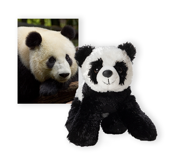 giant panda plushie and card