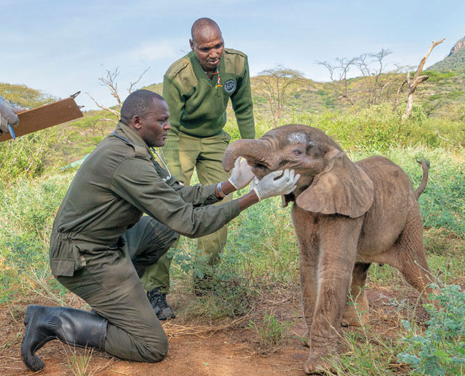 SDZWA Earth Day Wildlife Ally