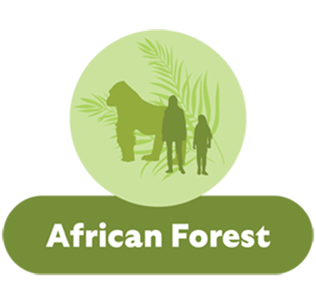 African Forest Hub