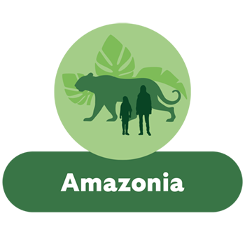 Amazonia Hub