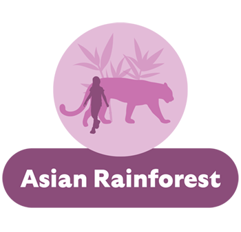 Asian Rainforest Hub
