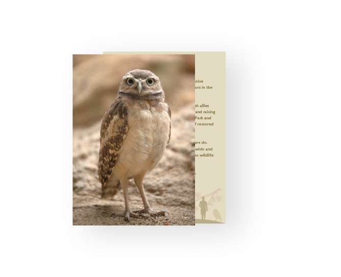 $25 Burrowing Owl Adoption Package