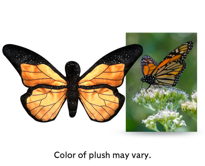 Color of butterfly plush may vary.