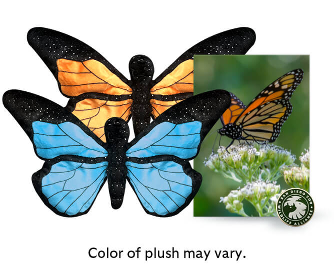 Color of butterfly plush may vary. 