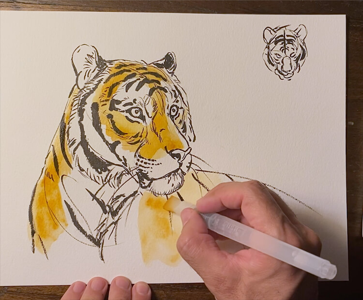 Drawing a tiger