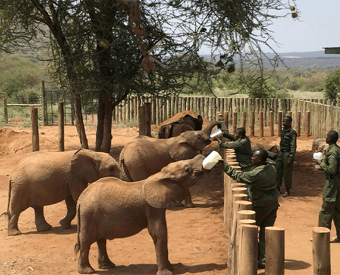 Reteti elephant sanctuary