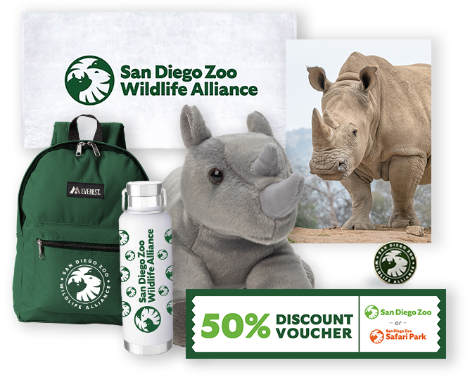 Rhino $1000 Adoption