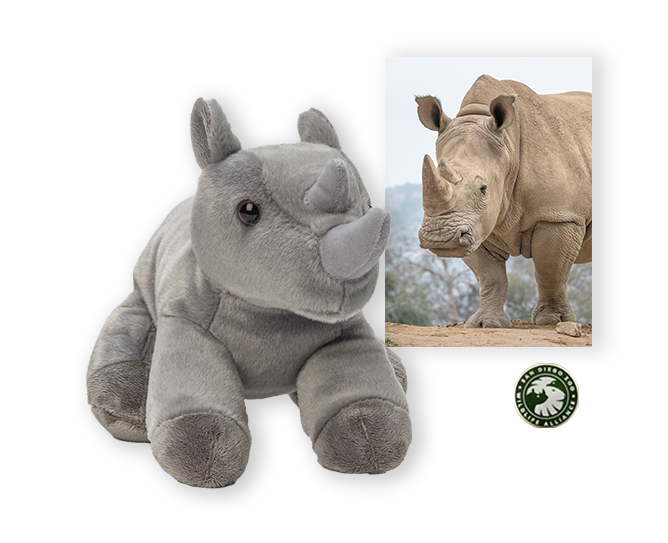 rhino 100 pkg