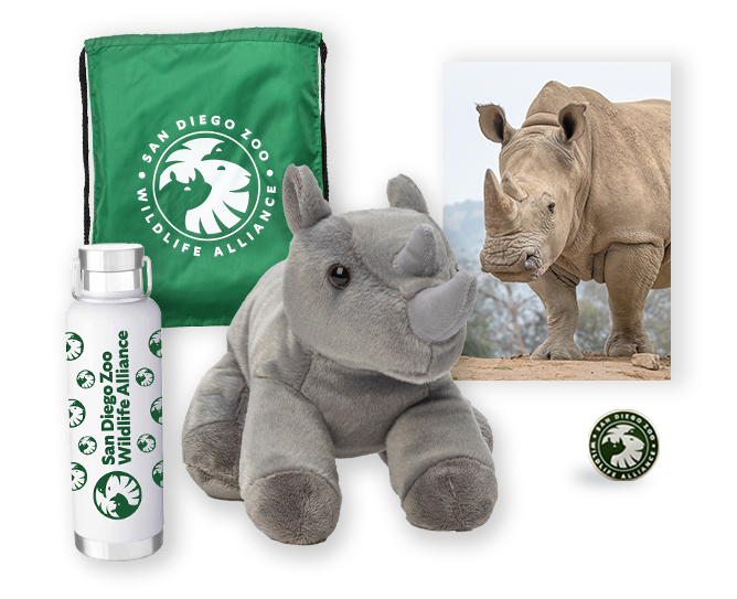 Rhino $500 Adoption