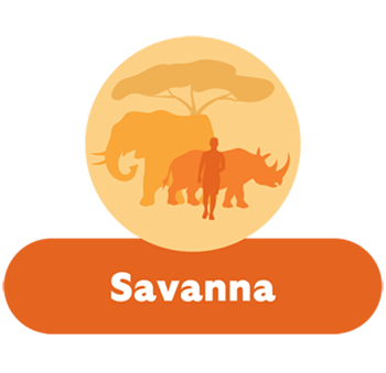 Savanna Hub