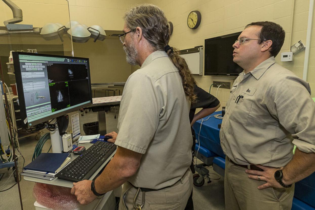 Wildlife Health team members