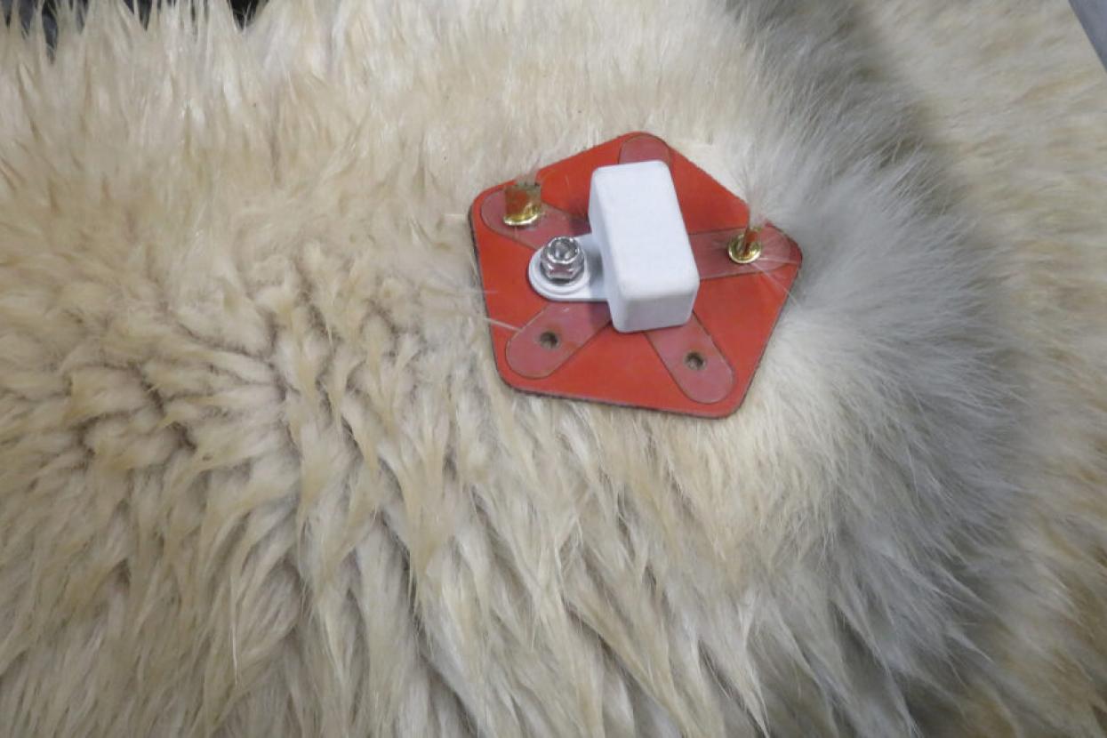 noninvasive tracking devices on fur