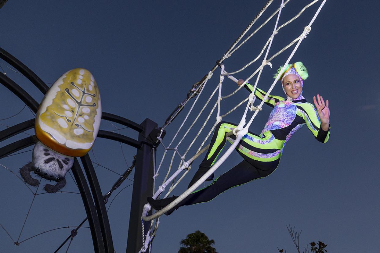 acrobat in faux spider web