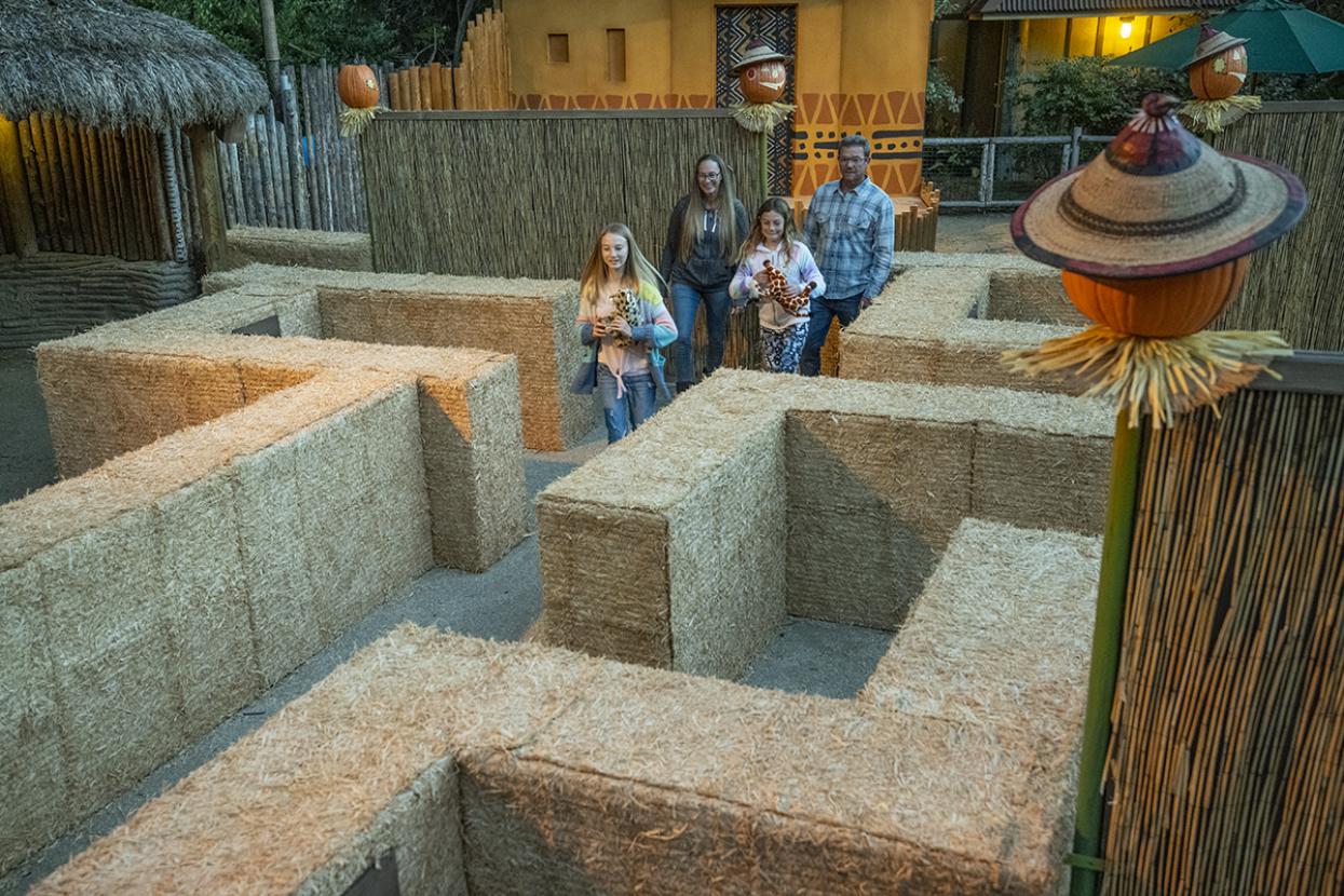 Family of four navigates a walk-through maze.