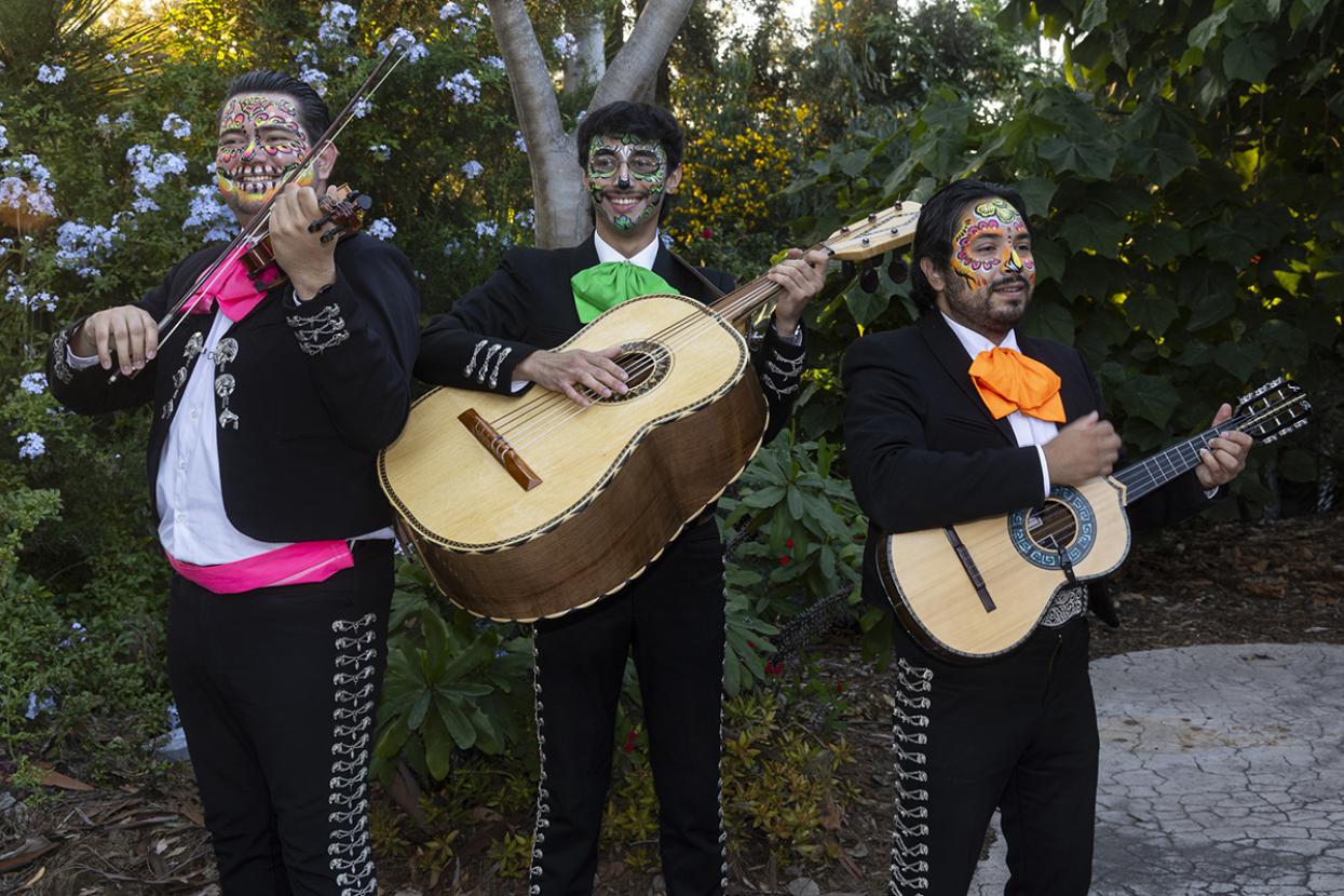 three piece mariachi band